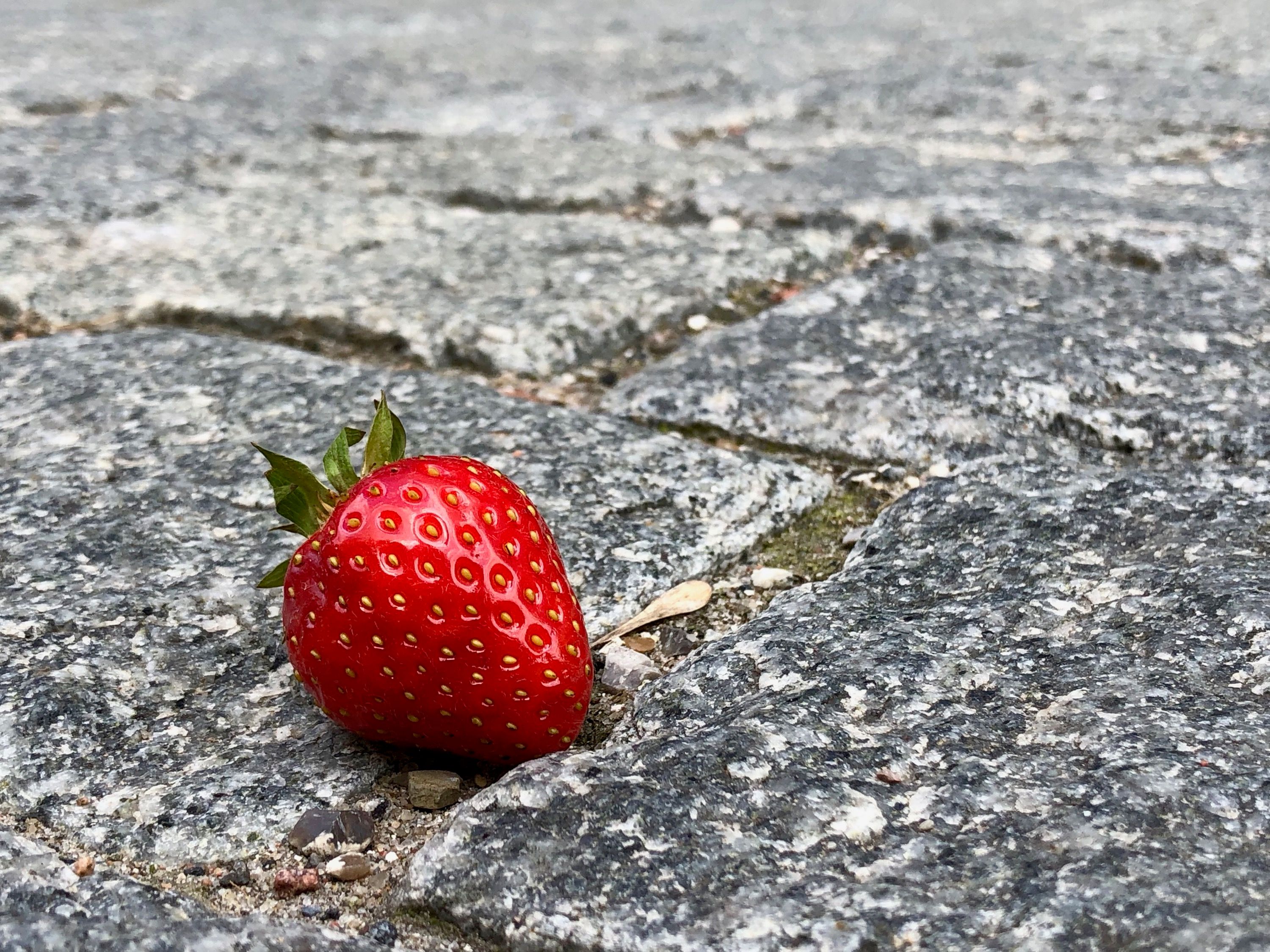 Mmm…jordbær…mmm